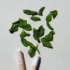 修護潤唇膏--薄荷